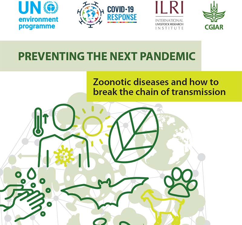 PREVENTING THE NEXT PANDEMIC: Zoonotic diseases and how to break the chain of transmission