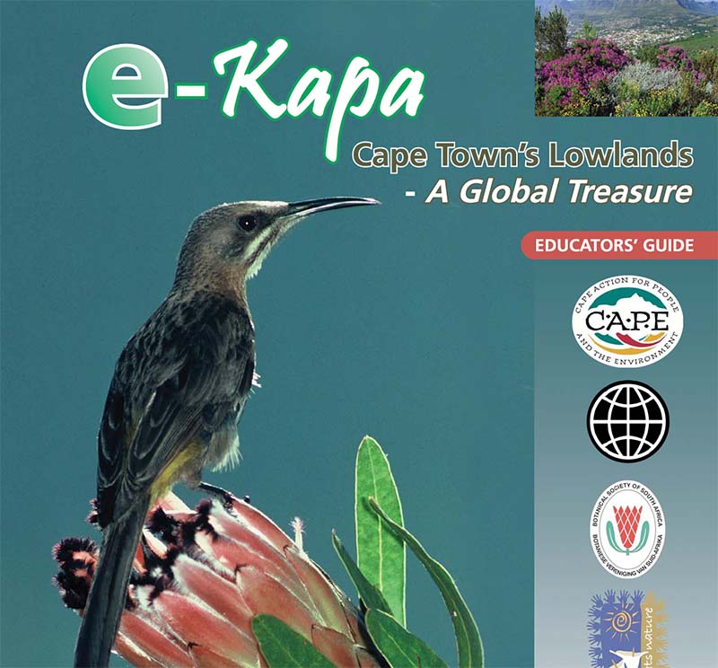 e-kapa Cape Town's Lowlands - A Global Treasure: Educators' Guide