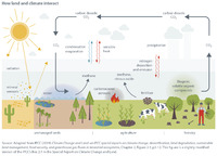 How land and climate interact