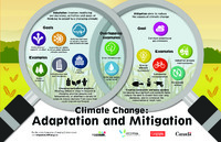Climate Change: Mitigation and Adaptation