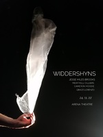 Widdershyns poster