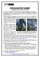Information Sheet: Eucalyptus trees as honey bee forage