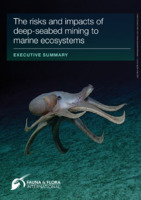 The risks and impacts of deep-seabed mining to marine ecosystems